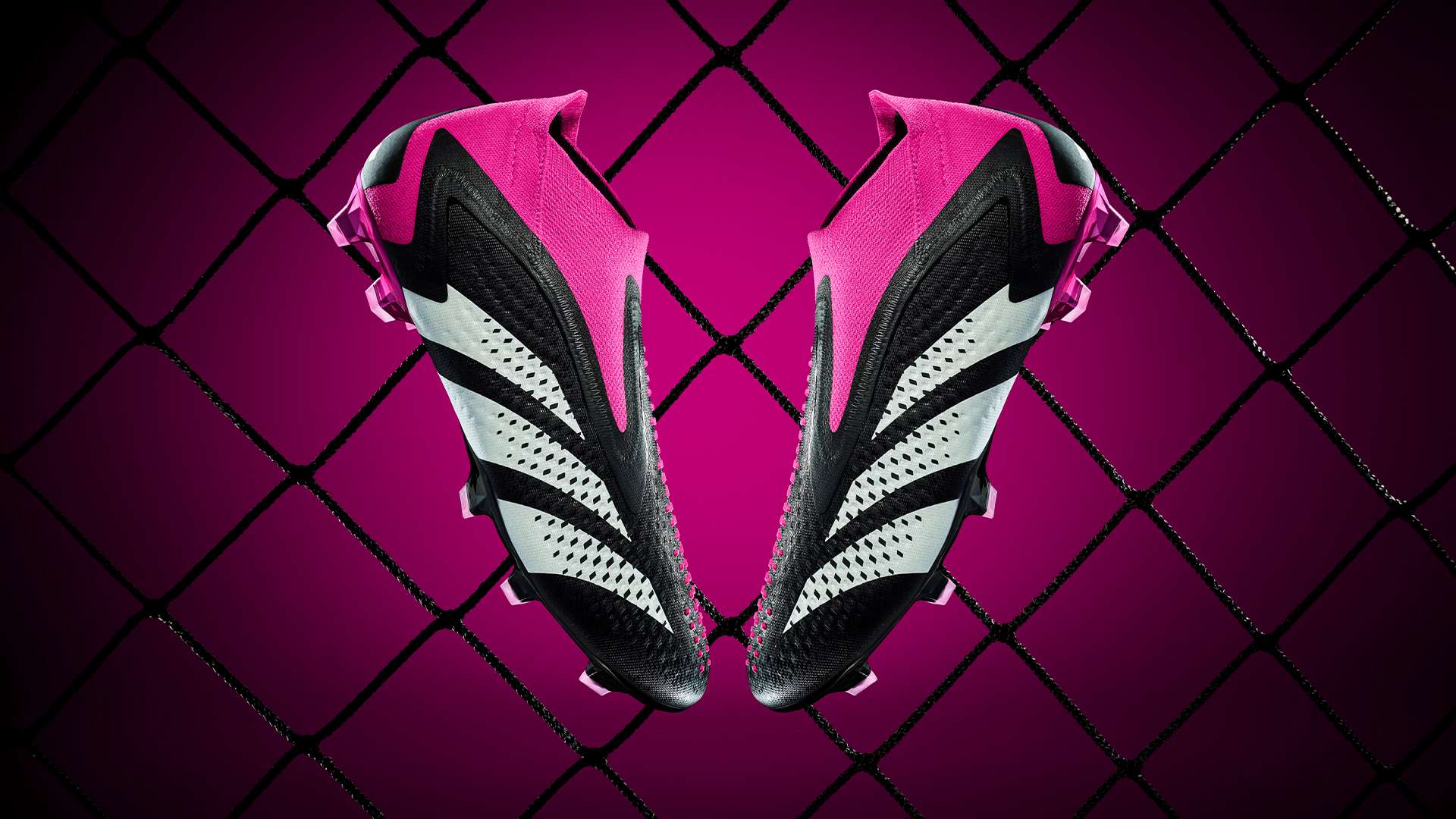 尽管什克在 尽管什克在